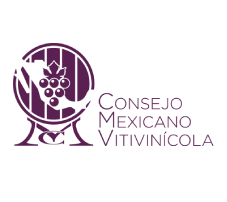 Uva y Vino