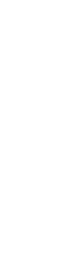 Icono